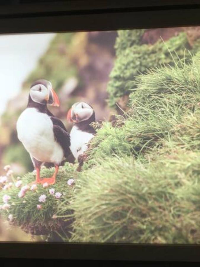 Hardy'S Cottage ドゥーリン エクステリア 写真